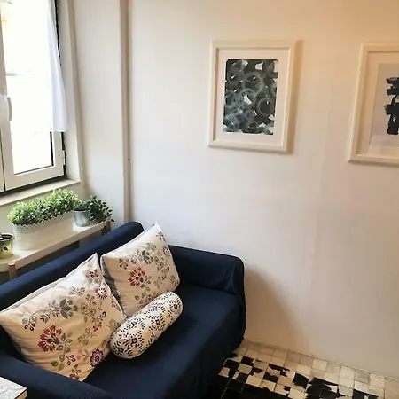 Apartment Cozy Flat Near Sao Bento Palace *